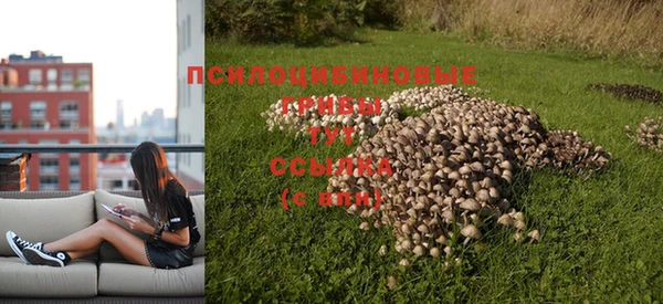 mix Вязьма