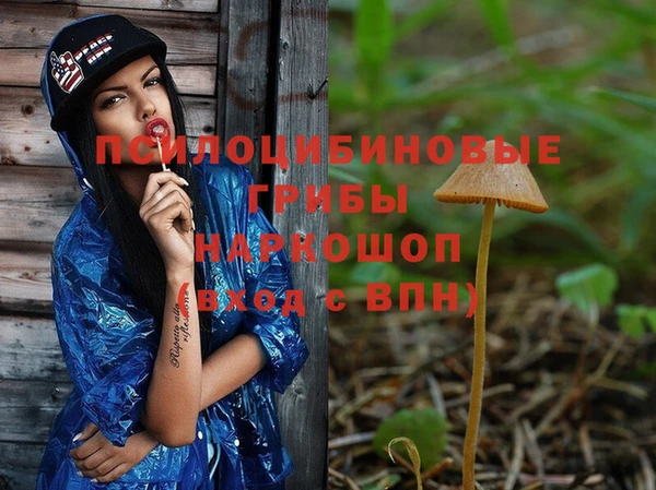 стафф Вязники