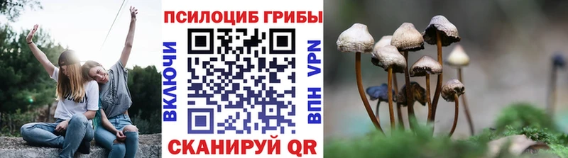 Галлюциногенные грибы ЛСД  гидра   даркнет как зайти  Юрга 